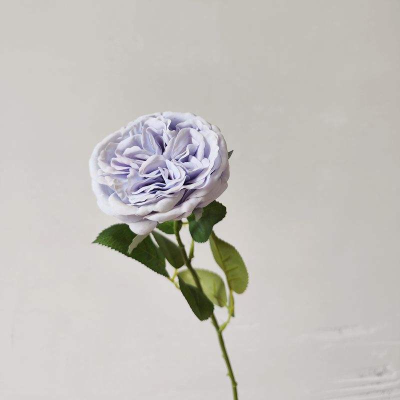 สีเทาเข้ม