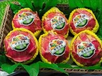 Étiquette de fruit alimentaire en vinyle découpé à l'emporte-pièce autocollant d'emballage adhésif étanche pour boîtes en plastique pour produits alimentaires et fruits
