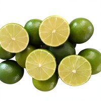 Verse Groene Limoen Hele of Gehalveerde Premium Kwaliteit Natuurlijke Gewone Teelt FRESH LEMON Merk 16-20cm 10kg (Mw. Elena - (+84) 966 659)