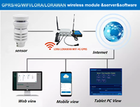 Station météo compacte 5 en 1 Lora Lorawan 4G Wifi avec écran LED et enregistreur pour la surveillance de la qualité de l'air extérieur et de l'environnement