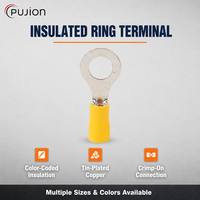 PUJION RV5.5-6 100개/봉투 절연 링 구리 케이블 러그 터미널 주석 도금 PVC 전선 터미널
