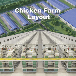 Competencia fácil limpieza automática de tipo H jaula de pollo - Product Image 5