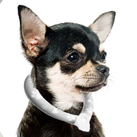 Collier rafraîchissant pour chien en TPU+PCM écologique, idéal pour le camping et les températures chaudes (vente en gros)