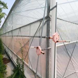 أرخص دفيئة بلاستيكية زراعية/تجارية/صناعية مع أنظمة كاملة للبيع - Product Image 6