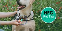 NFC-Hundemarke mit Einzigartigem QR-Code und Unterschiedlicher ID-Nummer NFC-Haustiermarke