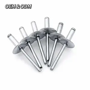 Hot Selling Kwaliteit 1/8 "1/4" Dome Head Aluminium/Stalen Blinde Klinknagel Koepel Hoofd Blinde Klinknagels Roestvrij Stelen