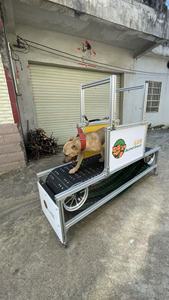 Alipetsmile ลู่วิ่งอลูมิเนียมสำหรับสุนัขเคลื่อนย้ายง่ายอุปกรณ์เพิ่มความคล่องตัวสำหรับสุนัขขนาดกลางผลิตภัณฑ์ฝึกสัตว์เลี้ยง - Product Image 6