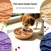 Gamelle exclusive anti-étouffement pour animaux de compagnie, à alimentation lente, antidérapante, anti-renversement, en silicone de qualité alimentaire pour chats
