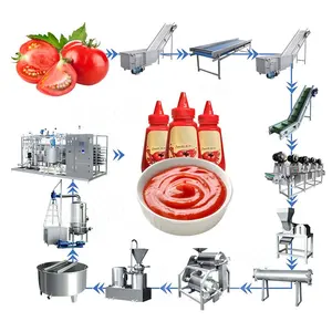 HNOC Tomato Paste Production Line Tomato Sauce Process Line Tomato Sauce Make Machine Price