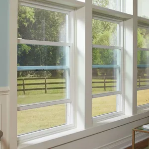 Fenêtre en PVC, le plus populaire Style américain, couleurs blanches personnalisées, verre upc, maison à suspension simple et Double
