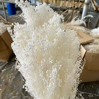 Gypsophile stabilisée 50g/paquet, vente en gros, artisanat floral séché écologique pour mariage, DIY, couleurs personnalisées, décorations d'intérieur