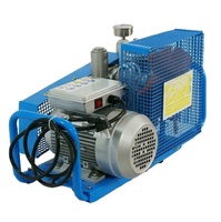 Compresseur d'air haute pression, 30mpa, 220v, 110v, pour armes à Air comprimé et fusils sous-marins, livraison gratuite