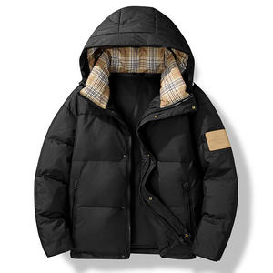 Manteau à capuche pour homme automne-hiver 2025 avec duvet de canard blanc, veste en toile coupe-vent pour la nouvelle génération, fermeture éclair, garde au chaud - Product Image 2