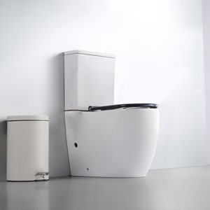 Inodoro ergonómico monobloque con asiento abatible <span class=keywords><strong>para</strong></span> ancianos y <span class=keywords><strong>discapacitados</strong></span>, ideal <span class=keywords><strong>para</strong></span> hospitales y sanitarios públicos. - Product Image 2