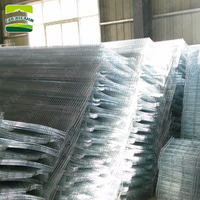 Cage de couvaison de volaille galvanisée à froid de type H à 4 niveaux pour 320 poussins en vente équipement d'élevage
