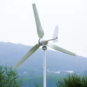 Harga grosir untuk penggunaan di rumah 3KW off Grid Hybrid Solar Wind Mills Power Generator sistem