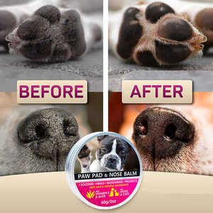Productos para Mascotas, Marca Privada, Cera Protectora Natural para Patas, Bálsamo Calmante para Patas y Nariz, Bálsamo Personalizado para Patas de Perros y Gatos - Product Image 5