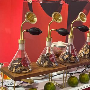 Botella <span class=keywords><strong>de</strong></span> Vidrio <span class=keywords><strong>de</strong></span> Doble Capa con Forma <span class=keywords><strong>de</strong></span> Embudo para Aceites Esenciales, Perfumes y <span class=keywords><strong>Licores</strong></span>, con Soporte para Aromas y Botella <span class=keywords><strong>de</strong></span> Prueba, Sin Difusor <span class=keywords><strong>de</strong></span> Varillas - Product Image 3