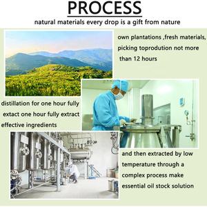 Extrait de Cyperus Rotundus 100% pur <span class=keywords><strong>Huile</strong></span> de Cyperus - Product Image 5