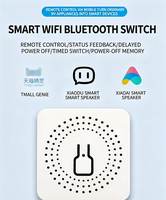 Module d'interrupteur intelligent WiFi Mini 16A 240V compatible Tuya, disjoncteur dissimulé avec minuterie et commande vocale