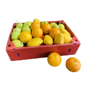Gemüse Cor flute Box Obst Verpackung pp Zucker mais und Brokkoli Box aus Wellpappe Kunststoff platten und Corres