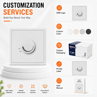 Interrupteur rotatif à intensité variable 220V blanc mural avec bouton de commande pour l'éclairage domestique et hôtelier