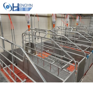 Equipo para Granjas Porcinas, Jaulas de <span class=keywords><strong>Parto</strong></span> para Cerdos Galvanizadas en Caliente - Product Image 2