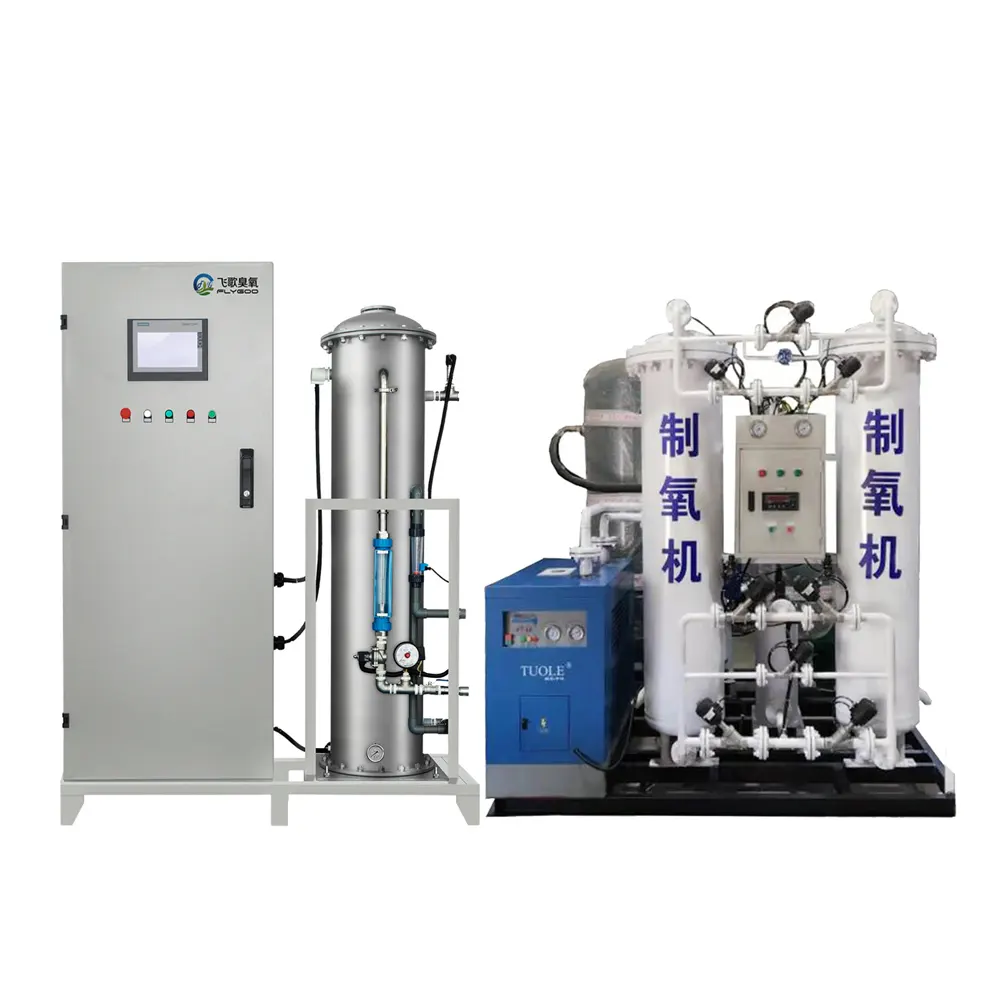 Flygoo 600g/jam sistem pemurni air transformator tegangan tinggi rumah kaca Generator ozon mesin cuci Filter air