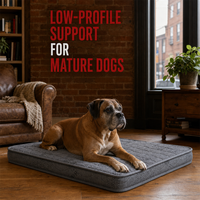 Matelas orthopédique pour chien mature, profil bas, gris, matelassé, avec housse imperméable lavable