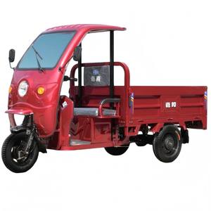 Tricycles électriques rouges 48V/60V 1000W à 3 roues avec toit et caisse <span class=keywords><strong>de</strong></span> chargement ouverte en acier pour usage familial – Optimisation des profits des concessionnaires - Product Image 1