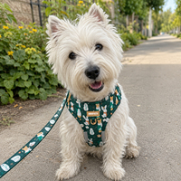 Harnais de luxe personnalisé OKKPETS 2026, harnais réglable pour chien, harnais imprimé vert forêt, laisse et collier assortis