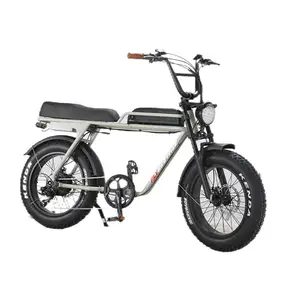 EU USAで利用可能なオリジナルの電動ファットバイク750w大人用の20インチ電動ファットバイクオートバイfat tire Ebike7 speed