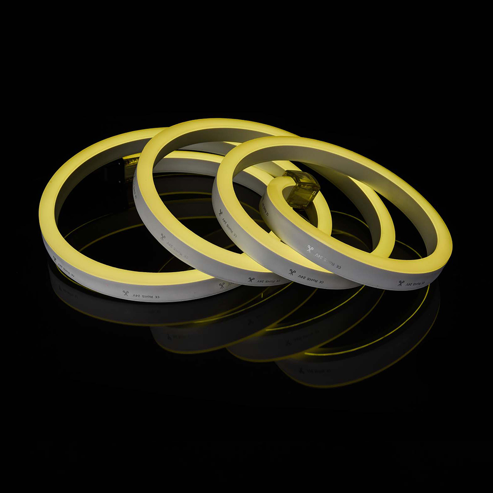 Wholesale Neon Flexible Led waterproof lamp 12V/24V/120V/220V Color Changing Led Strip Light STAGE LIGHTS 10x20mm RGB