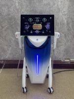 Appareil de lifting facial 15,6 pouces à une ou deux rangées, machine anti-rides, masseur facial liftant