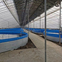 SDM usine chinoise vente en gros grandes bâches rondes en Pvc pour la culture de grumeaux biologiques tilapia RAS culture en réservoir