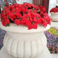 Fleurs de noël 2023 nouveau produit articles de noël fleur artificielle fleurs de noël pour la décoration de mariage à domicile