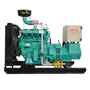 バイオマスガス発生器セット農業用3相20 kW 25 kva