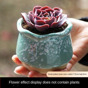 Maceta de Cerámica para Suculentas, Diseño Simple, Resistente a la Corrosión, Transpirable, Mini, Creativa, de Cerámica Rústica, OEM ODM - Product Image 4