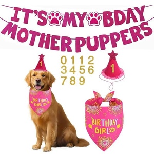 Ensemble d'accessoires de fête d'anniversaire pour animaux de compagnie : Foulard triangulaire et chapeau en tissu non tissé de luxe, personnalisables pour chien, pour une célébration festive. - Product Image 3