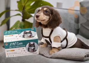 EHR Ab Dog Ehrlichia Ab Test kit cartões de diagnóstico veterinário testes para animais de estimação - Product Image 6