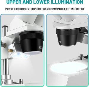 Microscopio Binoculare <span class=keywords><strong>Stereo</strong></span> ZT100 con Oculari WF10x WF20x, Ingrandimento 10X-80X, Sorgente Luminosa <span class=keywords><strong>LED</strong></span> Superiore e Inferiore, Supporto a Colonna 120V - Product Image 6