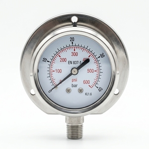 Manomètre en acier inoxydable 1/4'' à prix avantageux, manomètre de pression d'air/oxygène, manomètre hydraulique 600 psi - Product Image 1