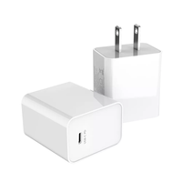 Pengisi Daya Dinding USB DC 5V 1A 2A 5W 10W Micro Travel US Plug untuk Ponsel Pintar dan Produk Digital