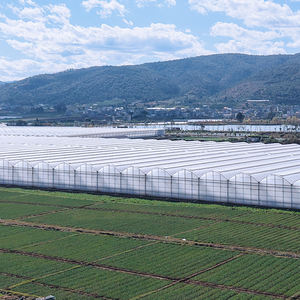 Serre agricole moderne avec fenêtres verticales pour la culture de tomates et de fraises - Product Image 2