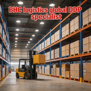 Agent d'expédition DDP, entreprise de logistique Chine-Europe, Pays-Bas, <span class=keywords><strong>Delfzijl</strong></span>, service de transitaire maritime porte-à-porte DDP FCL - Product Image 6