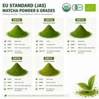 Poudre de thé vert matcha de qualité supérieure, conforme aux normes européennes, pour la fabrication de boissons, vente en gros, OEM, ODM, en vrac, 10 kg, MOQ