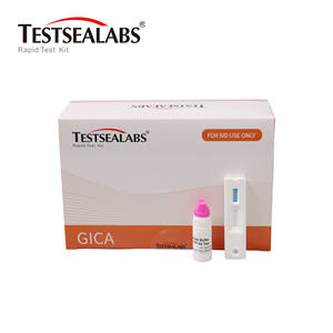 CE/ISO sertifikası ile klinik tanı için Testsealabs H. Pylori Ab Test kiti hızlı <span class=keywords><strong>IgG</strong></span> <span class=keywords><strong>IgM</strong></span> antikor tespiti - Product Image 2