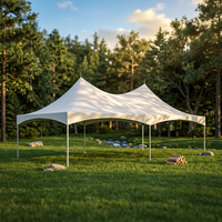Carpa de Techo Alto Personalizada de 20x30 pies con Estructura de Aluminio, Refugio Exterior Resistente a la Intemperie para Bodas y Eventos