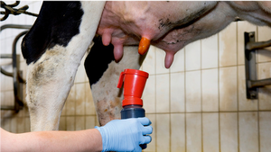 300ml teat Dip cup với bàn chải và tốt nghiệp cho gia súc viêm vú phòng ngừa mẫu miễn phí - Product Image 4