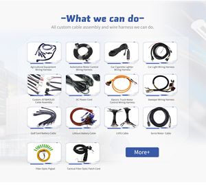 ODM OEM Ensamblaje de cables de arnés de cables eléctrico automático Fabricación personalizada para vehículos eléctricos Automotrices - Product Image 5
